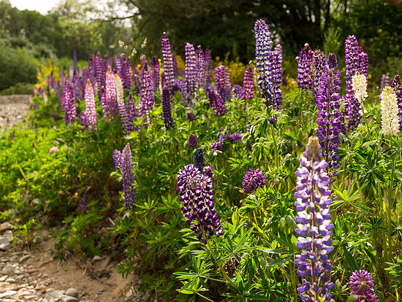 20130619-untitled-R6196226