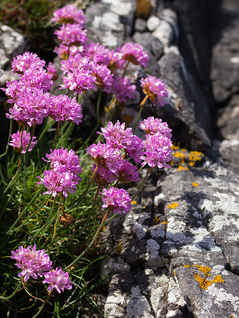 20130609-Morar-R6095960