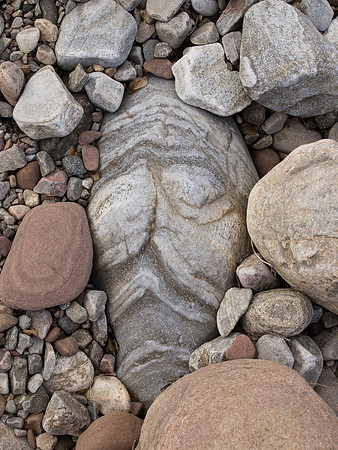 20130622-Urquhart Bay Wood-R6226331