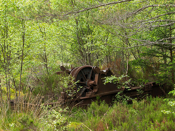 20130616-Glen Cannich-R6166207