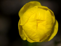 20130608-Ardclach-R6085888