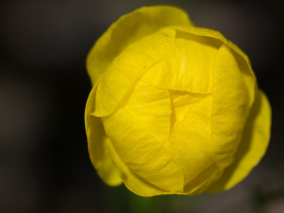 20130608-Ardclach-R6085888