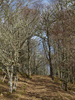 Grotaig_0038