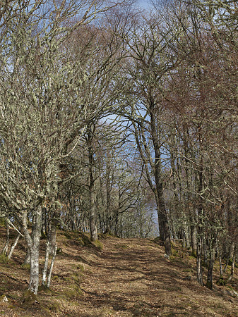 Grotaig_0038