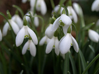 03-2010 March
