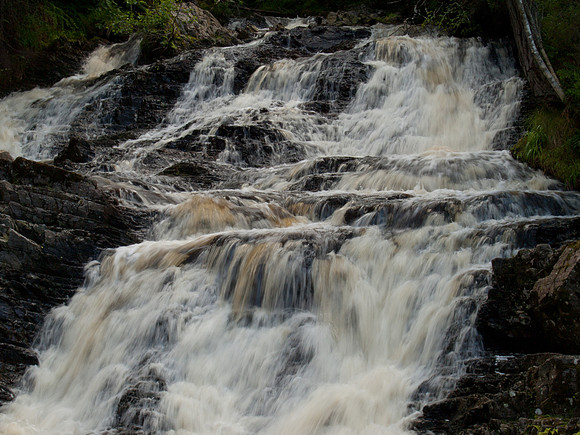 20100727-Plodda-P7278592