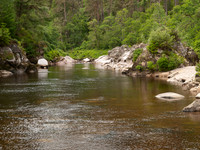 20100703-River Findhorn-P7038220