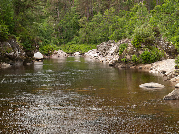 20100703-River Findhorn-P7038220