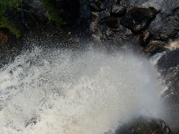 20100727-Plodda-P7278586