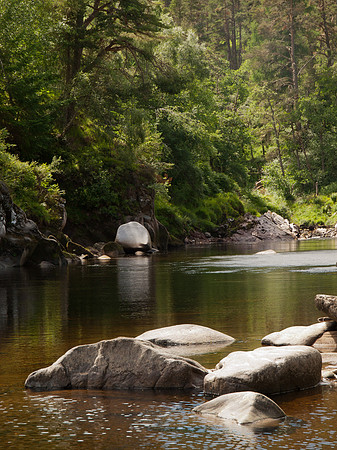 20100703-River Findhorn-P7038262