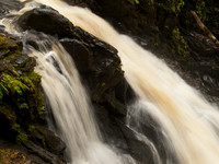 20100727-Plodda-P7278572