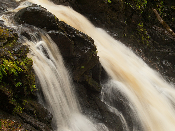 20100727-Plodda-P7278572