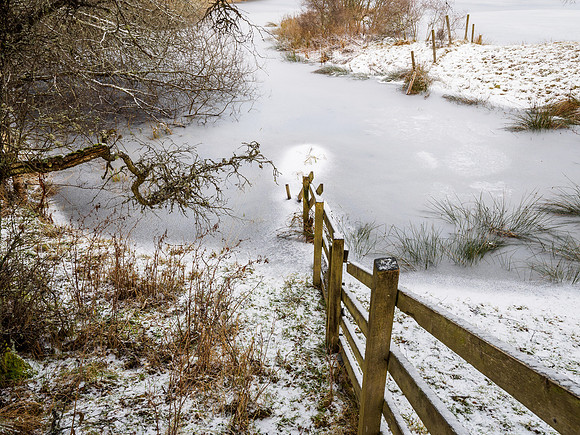 Frozen Fence Plunge