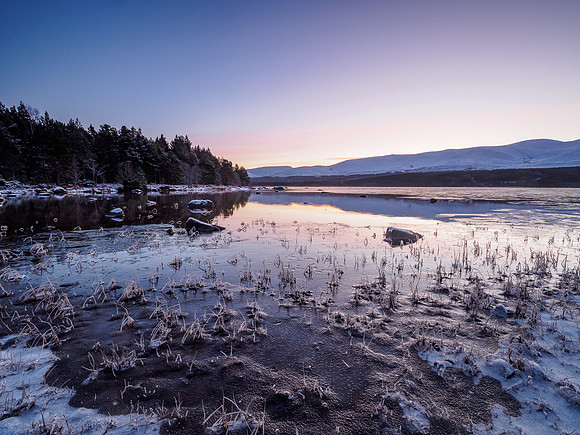 Loch Morlich