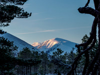Loch Morlich