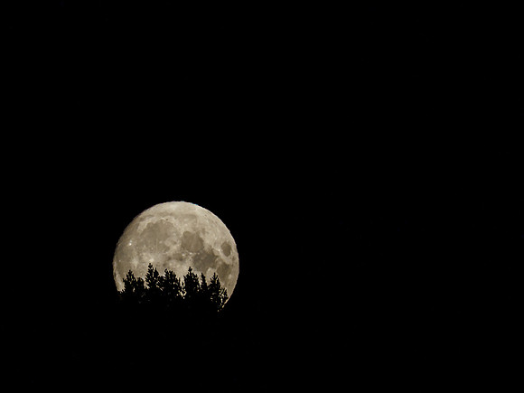 Moon Rise (1) [1909017]