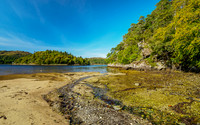 Castle Tioram In the Sunshine (2) [1909008]
