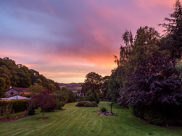 Garden Sunrise [1909041]