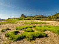 Castle Tioram In the Sunshine (3) [1909009]