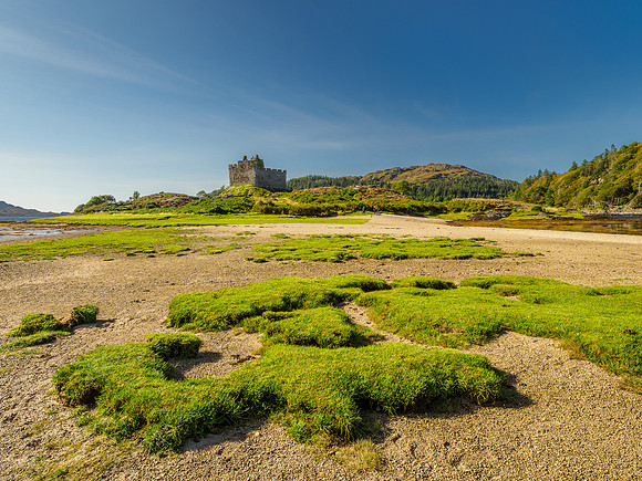 Castle Tioram In the Sunshine (3) [1909009]