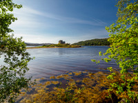 Castle Tioram In the Sunshine (1) [1909007]