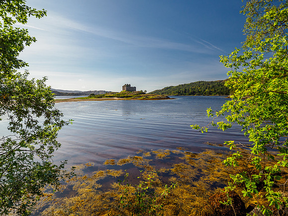 Castle Tioram In the Sunshine (1) [1909007]