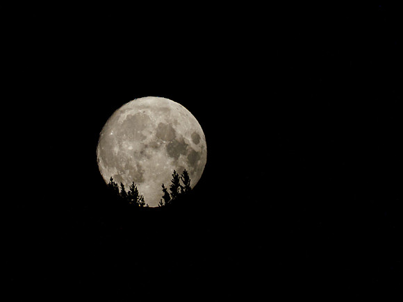 Moon Rise (2) [1909018]