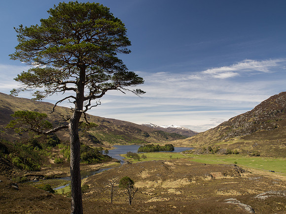 20130525-Glen Strathfarrar-R5255537
