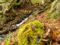 Mossy Rock and Burn Clunebeg