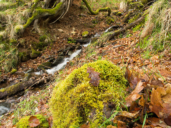 Mossy Rock and Burn Clunebeg