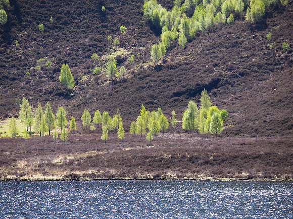 20130525-Glen Strathfarrar-R5255525