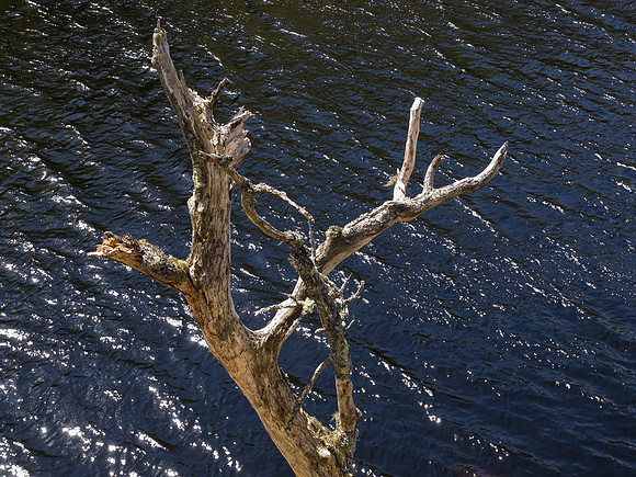 20130525-Glen Strathfarrar-R5255547
