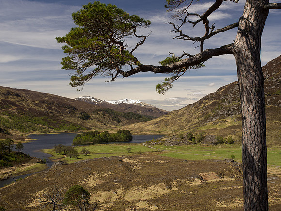 20130525-Glen Strathfarrar-R5255535-Edit