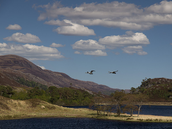 20130525-Glen Strathfarrar-R5255614