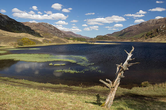 20130525-Glen Strathfarrar-R5255607