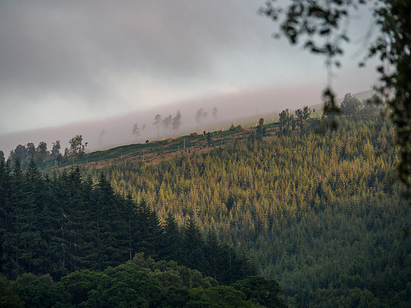 Glen Coiltie [1908004]