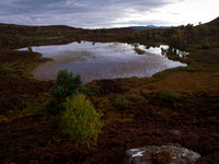 Loch na Ba Rhuidhe