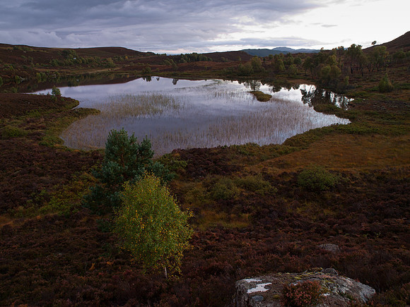Loch na Ba Rhuidhe