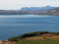 The Cullin