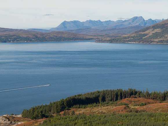 The Cullin