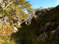 Herring Track