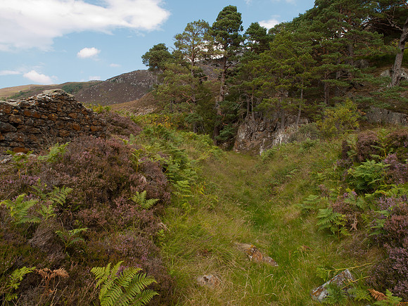Remains of the Graphite Mine