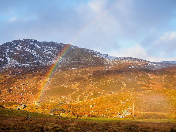 Cannich Colour