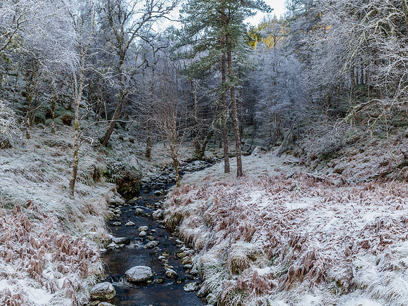 Frosty Glen Affric 3