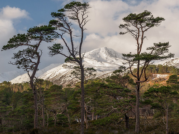 Sgurr na Lapaich 1