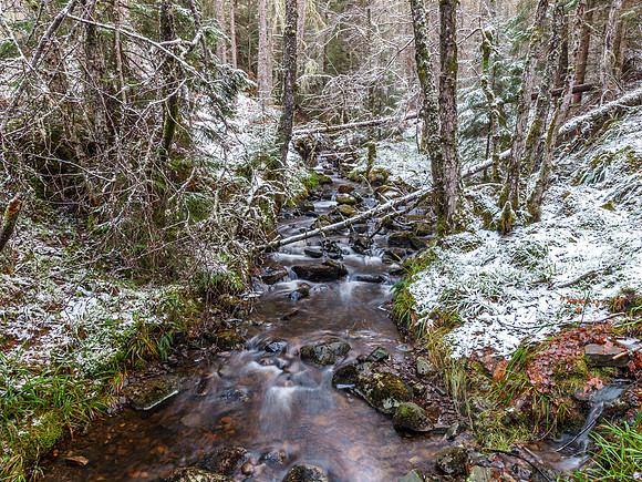 Winter Stream