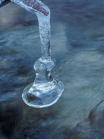 Ice Sculptures