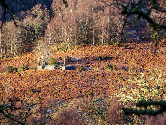 Glen Coiltie View 2