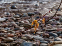 River Findhorn at Daltulich Bridge 4