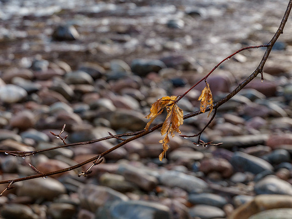 River Findhorn at Daltulich Bridge 4